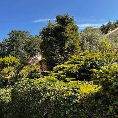 - Italo & Dada * Soviore